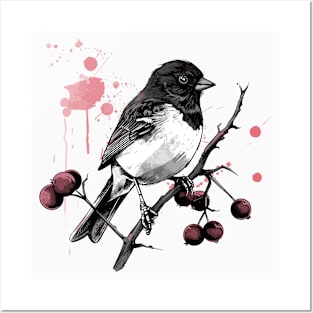 Dark eyed junco on a branch Posters and Art